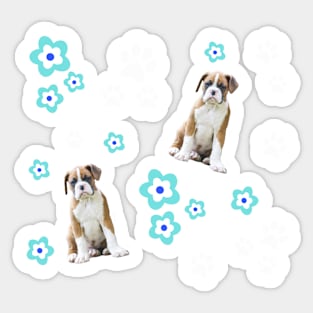 Fawn Boxer Puppy, on Pink with Flowers Sticker